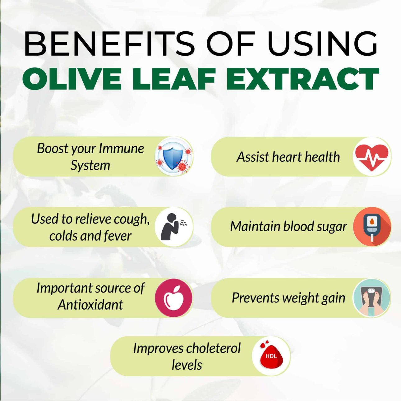 Benefits Of Using Olive Leaf Extract