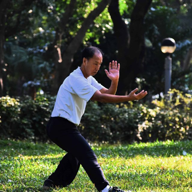 Tai Chi for the senior is also a critical way to enjoy the journey as it promotes mental well-being.