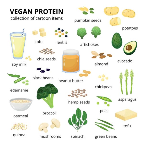 Set of vegetables that are good sources of Protein. 