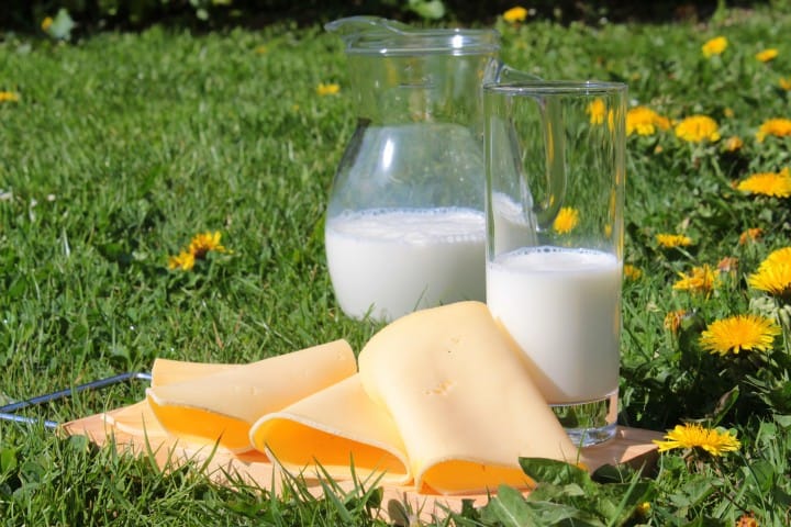 High-fat dairy products like milk and cheese can help decrease the risk of diabetes.