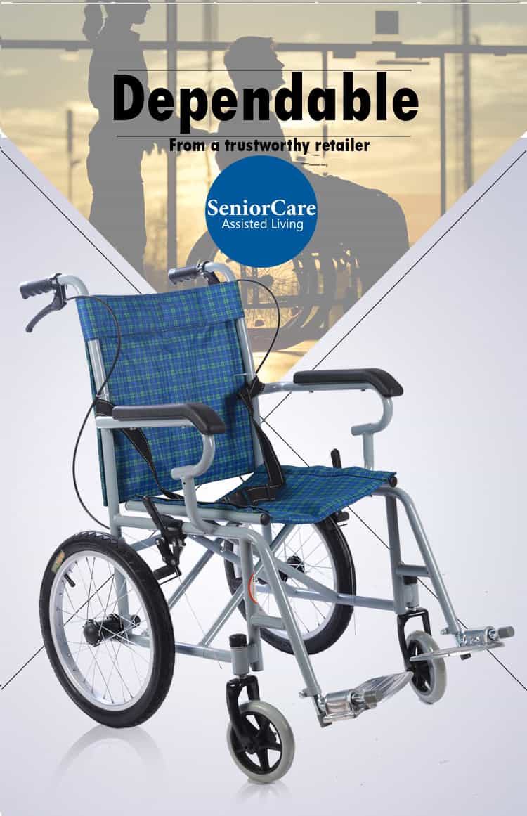 FalconPushchair-Wheelchair-Transit_Falcon-Pushchair 3