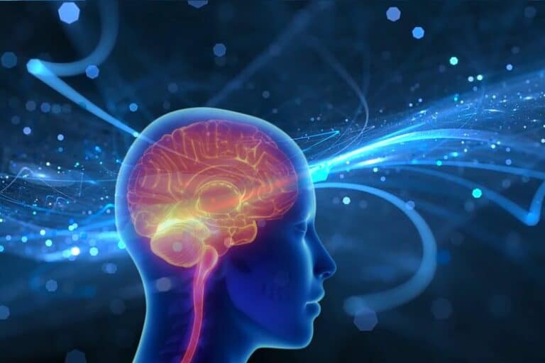 Ensure Acti M2 Powder Benefits: The Best Supplement For Brain Power