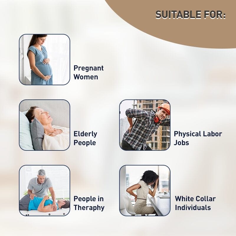 Bed Cushion - Lumbar Ver 2 Gallery