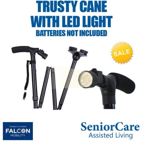 TRUSTYCANEwLEDLIGHT_WorkingFile