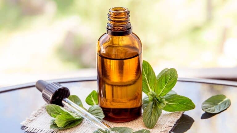 Why You Should Start Using Dragonfly Medicated Oil?