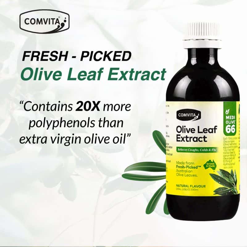 Fresh - Picked Olive Leaf Extract