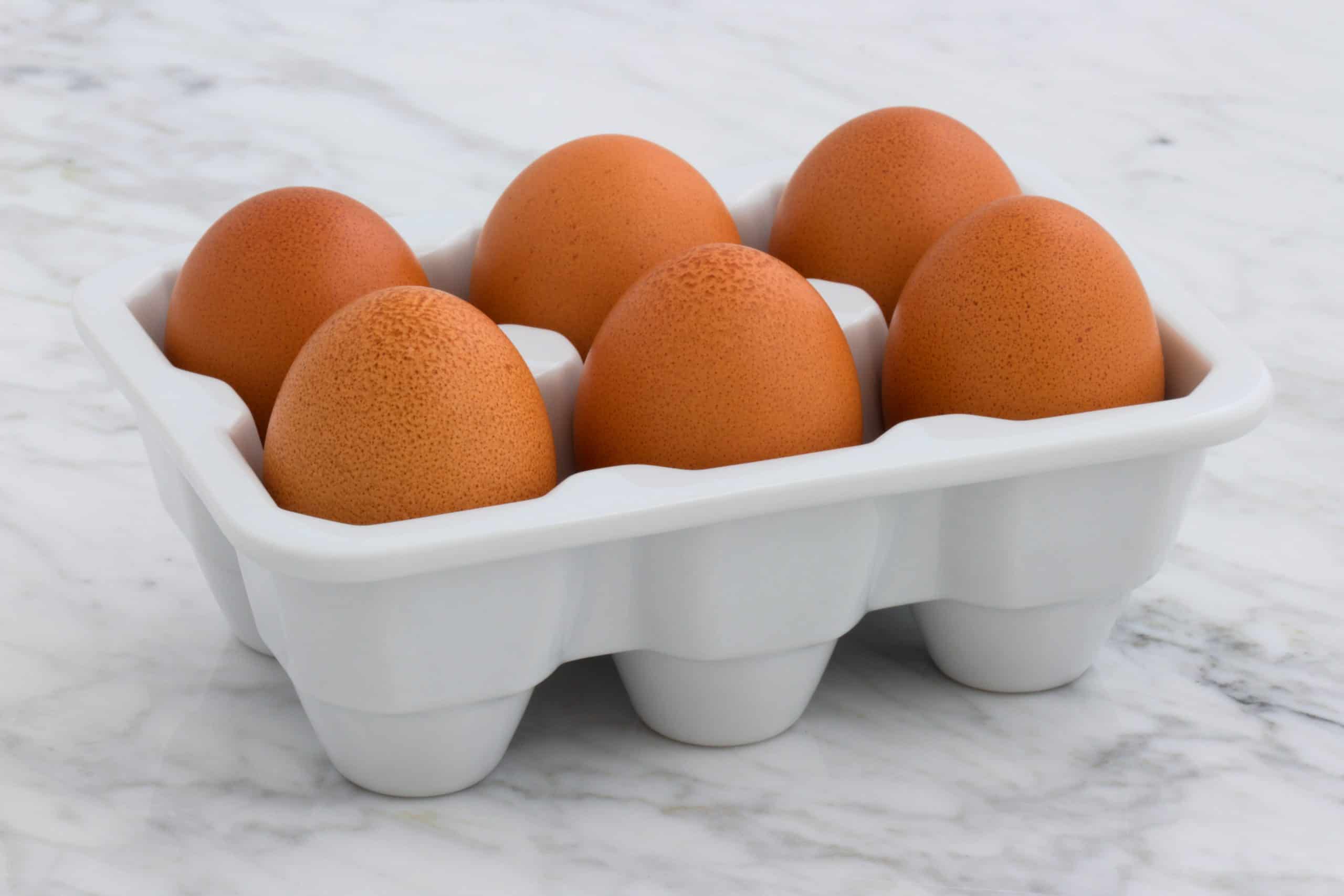 tray of 6 eggs