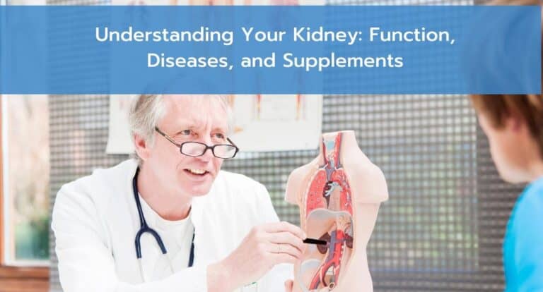 Understanding Your Kidney: Function, Diseases, and Supplements
